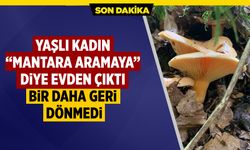 Çankırı’da mantar toplamaya çıkan yaşlı kadından haber alınamıyor