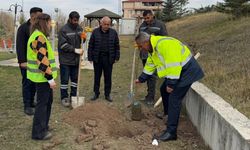 Çerkeş'te 11 Yılda 265 Bin Fidan Toprakla Buluştu