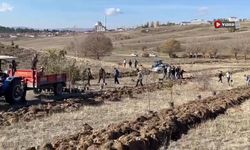 Kadıözü’nde Yeşeren Gelenek:  Fidanlar toprakla buluştu