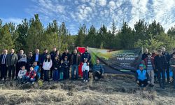 Eldivan'da Fidanlar Toprakla buluşturuldu
