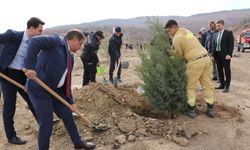 Ilgaz'da 400 Fidan Toprakla Buluştu