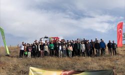 Yapraklı’da Milli Ağaçlandırma Günü’nde Fidanlar Toprakla Buluştu
