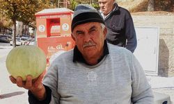 Çankırı’da sadece bilenler alıyor! Gören kabak sanıyor