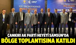 Çankırı AK Parti Heyeti Samsun’daki Bölge Toplantısına Katıldı