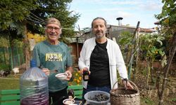 Kanser hücrelerinin oluşumunu önleyen kokulu üzümün üretimi arttırılacak