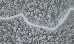 Türkülere Konu Ilgaz Dağı’nda Kartpostallık Kış