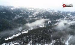 Beyaza bürünen Ilgaz Dağı havadan görüntülendi