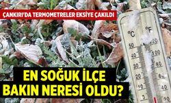 Çankırı'da Termometreler Eksiye Çakıldı: Bakın En Soğuk Neresi Oldu