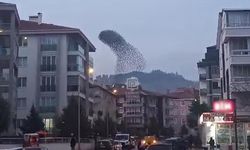 Çankırı’da sığırcık sürüsünden gökyüzünde görsel şölen