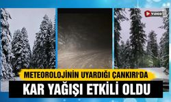 Meteorolojinin uyardığı Çankırı'da kar yağışı etkili oldu