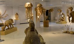 ÇAKÜ’de Geri Dönüşüm Heykel Sergisi Açıldı