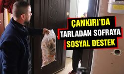Çankırı’da Tarladan Sofraya Sosyal Destek