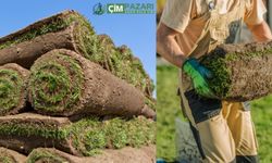 Hazır Rulo Çim Nedir? Ömrü Ne Kadar? Fiyatları Ne Kadar?