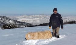 Çankırı Gürgenli Dağı’nda Muhtarlardan yaban hayatına şefkat eli