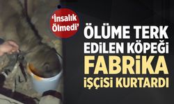 Çankırı’da ölüme terk edilen köpeği fabrika işçisi kurtardı