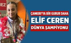 Çankırılı Milli Sporcu Elif Ceren Şanlı Dünya Şampiyonu Oldu