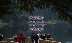 Bolu’ya ziyaretçi akını: 1 milyon 559 bin 487 kişi geldi