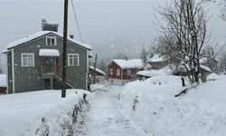 Kastamonu’da kar 167 köy yolunu ulaşıma kapattı