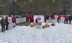 Kastamonu'da karla kaplanan ormanlara yaban hayvanları için yiyecek bırakıldı