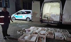 Kastamonu’da yasa dışı avlanan 1,5 ton balığa el konuldu