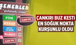 Çankırı Buz Kesti: En Soğuk Nokta Kurşunlu Oldu