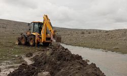 Kurşunlu Dumanlı Yaylası’nda Islah Çalışmaları Tamamlandı