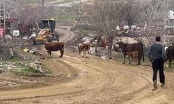 Çankırı'da bozuk köy yolunda haberimizin ardından çalışma başlatıldı