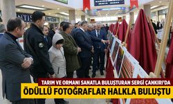 Tarım ve Ormanı Sanatla Buluşturan Sergi Çankırı’da Açıldı