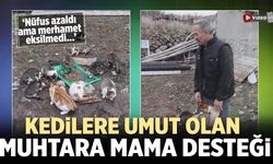 Çankırı’da Kedilere Umut Olan Muhtara Mama Desteği