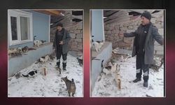 Çankırı'da Kış Nüfusunun Azaldığı Köyde Kediler Muhtara Emanet