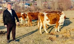 Çankırı’da Gebe Düve Alımı Gerçekleşti