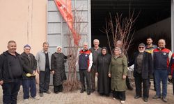 Çankırı’da Kayısı Fidanları Toprakla Buluşuyor