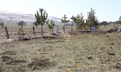 Dumanlı Dağı’nda Kış ve Bahar Aynı Karede