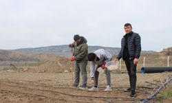 Çankırı’da Tarım Lisesi Öğrencileri 550 Metrekarede Sarımsak Ekti