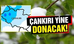 Çankırı’da Zirai Don Uyarısı: Tarım Alanlarında Risk Kapıda