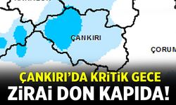 Çankırı’da kritik gece: Zirai don kapıda!