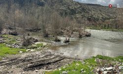 Nisan Yağmurları Devrez Çayı’nı hayata döndürdü