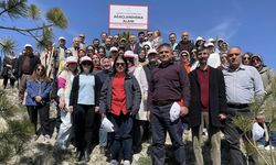 Çankırı’da Tüberküloz Günü’nde Fidanlar Toprakla Buluştu