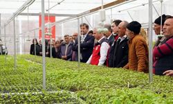 Çankırı’da Eğitim ve Üretim Aynı Serada Buluştu