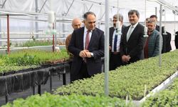 Çankırı Valisi Çakırtaş’tan Şehit Mehmet Ata Tarım Lisesi’ne İnceleme Ziyareti