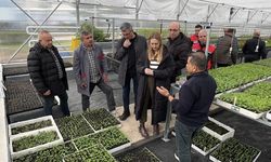 IFAD Heyeti Çankırı’da Kırsal Kalkınma Projelerini İnceledi