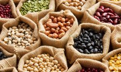 Bakliyat Dolum ve Paketleme Makine Üreticileri Arasında Global Mühendislik Gücü: Sağbil