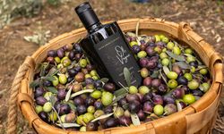 En İyi Zeytinyağı Hangisi? 2026 Yılı Kaliteli Zeytinyağı Seçim Rehberi