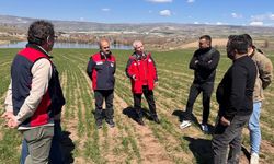 İl Müdürü Candan Çerkeş’te Üreticilerle Buluştu