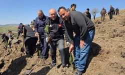 Kurşunlu’da Geleceğe Nefes Olacak Fİdanlar Toprakla Buluştu