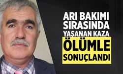Çankırı’da Arı çıtasının saplandığı Muhsin Çakır hayatını kaybetti