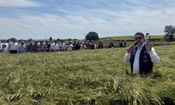 Çankırılı çiftçiler yerli ve milli tohumlarla buluştu