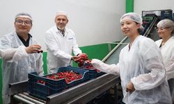 Türk kirazı tek yön Çin biletini almak üzere