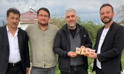 Çankırı’da Yerli Tohum Seferberliği: Ata Mısırları Yeniden Ekiliyor