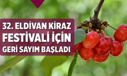 32. Eldivan Kiraz Festival için geri sayım başladı